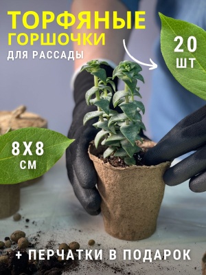 Изображение товара Горшочки торфяные  80*80 круглый (20шт/уп) в Миди Лтд