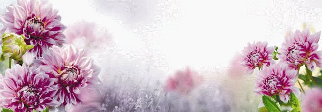 Изображение товара Панель 695*2070" Фартуки" полноцвет в Миди Лтд