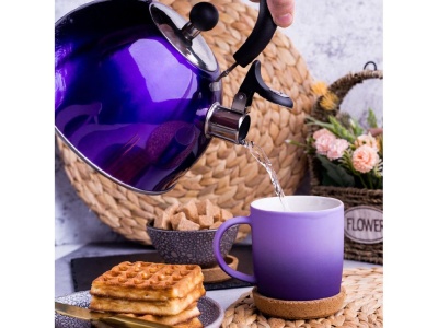 Изображение товара Чайник нерж сталь 2,5л (MSY-021P) со свистком ручка пластиковая индукция зеркальный Daniks  в Миди Лтд