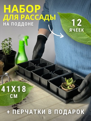 Изображение товара Ячейки для рассады Универсал 12 с поддоном 410*180*60мм в Миди Лтд