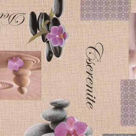 q6qetymobight9d0myo47k917rml1v0b