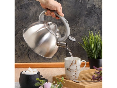 Изображение товара Чайник нерж сталь 2,6л (MSY-065) со свистком индукция зеркальный Daniks (12шт/уп) в Миди Лтд