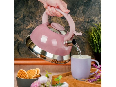 Изображение товара Чайник нерж сталь 3л (M-017) со свистком ручка с силиконовым покрытием индукция зеркальный Daniks  в Миди Лтд