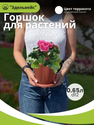 Изображение товара Горшок ЭДЕЛЬВЕЙС с поддоном d12см 0,65л терракот (36шт/уп) в Миди Лтд