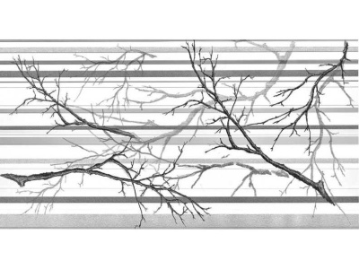 Изображение товара Панель ПВХ фон Ветка серая толщ 0,4мм 0,957*480 (30шт/уп) в Миди Лтд
