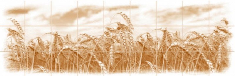 Изображение товара Панель отделочная 695*2070 Рожь цвет Коричневый в Миди Лтд