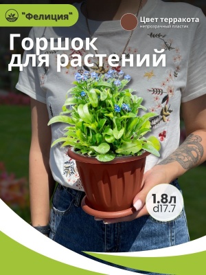 Изображение товара Горшок для растений ФЕЛИЦИЯ с поддоном d180мм 1,8л терракот (20шт/уп) в Миди Лтд