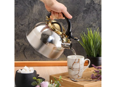 Изображение товара Чайник нерж сталь 3л (M-001PM) со свистком ручка бакелитовая с силиконовым покрытием индукция  в Миди Лтд