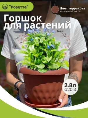 Изображение товара Горшок для растений РОЗЕТТА с поддоном d200мм 2,8л терракот (14шт/уп) в Миди Лтд