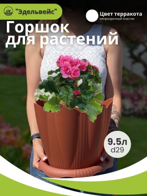 Горшок ЭДЕЛЬВЕЙС с поддоном d29см 9,5л терракот (8шт/уп) - фото в Миди Лтд Изображение товара Горшок ЭДЕЛЬВЕЙС с поддоном d29см 9,5л терракот (8шт/уп) в Миди Лтд
