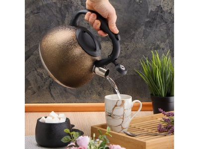 Изображение товара Чайник нерж сталь 2,7л (M-084) со свистком ручка бакелитовая с силиконовым покрытием индукция  в Миди Лтд