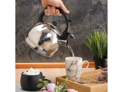 Изображение товара Чайник нерж сталь 2л (M-081) со свистком ручка бакелитовая с силиконовым покрытием индукция  в Миди Лтд