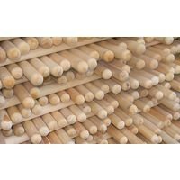 Черенок ф32 1,5м Высший сорт (10шт/уп) - фото в Миди Лтд Изображение товара Черенок ф32 1,5м Высший сорт (10шт/уп) в Миди Лтд