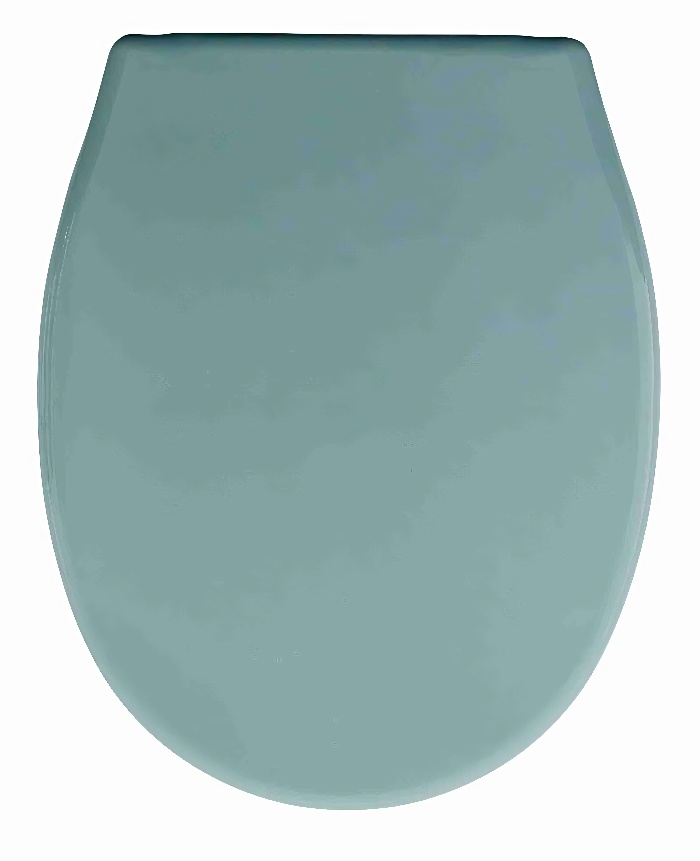 Сиденье для унитаза жесткое "Океан LUX" зеленое (1/10уп) - фото в Миди Лтд Изображение товара Сиденье для унитаза жесткое "Океан LUX" зеленое (1/10уп) в Миди Лтд