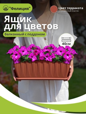Ящик для растений ФЕЛИЦИЯ с дренажной решеткой 40см терракот (9шт/уп) - фото в Миди Лтд Изображение товара Ящик для растений ФЕЛИЦИЯ с дренажной решеткой 40см терракот (9шт/уп) в Миди Лтд