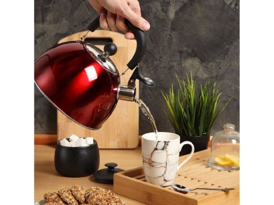 Изображение товара Чайник нерж сталь 2,5л (MSY-021R) со свистком ручка пластиковая индукция зеркальный Daniks красный  в Миди Лтд