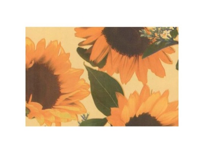 Изображение товара Пленка самоклеющаяся "FARBE" подсолнухи 0,45*8м в Миди Лтд