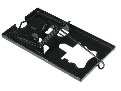 Мышеловка анодированный металл 11,5*6,5 см (240шт/кор) - фото в Миди Лтд Изображение товара Мышеловка анодированный металл 11,5*6,5 см (240шт/кор) в Миди Лтд