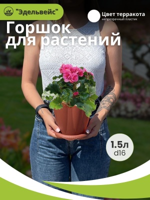 Горшок ЭДЕЛЬВЕЙС с поддоном d16см 1,5л терракот (20шт/уп) - фото в Миди Лтд Изображение товара Горшок ЭДЕЛЬВЕЙС с поддоном d16см 1,5л терракот (20шт/уп) в Миди Лтд