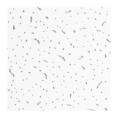 Плита потолочная Armstrong Байкал 600х600х12 (7,2м.кв/уп. 20шт/уп. 40уп/пал) - фото в Миди Лтд Изображение товара Плита потолочная Armstrong Байкал 600х600х12 (7,2м.кв/уп. 20шт/уп. 40уп/пал) в Миди Лтд