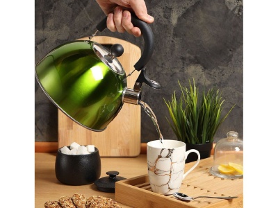 Изображение товара Чайник нерж сталь 2,5л (MSY-021G) со свистком ручка пластиковая индукция зеркальный Daniks зеленый  в Миди Лтд