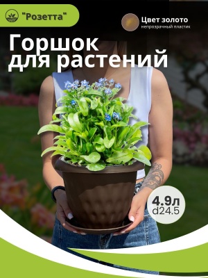 Горшок для растений РОЗЕТТА с поддоном d245мм 4,9л золотой (10шт/уп) - фото в Миди Лтд Изображение товара Горшок для растений РОЗЕТТА с поддоном d245мм 4,9л золотой (10шт/уп) в Миди Лтд