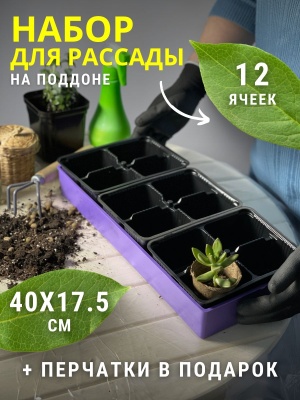 Изображение товара Ящик для рассады Профи 12 с ячейками 400*175*60мм цветной в Миди Лтд