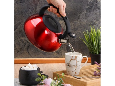 Изображение товара Чайник нерж сталь 3л (DSC-8798) со свистком ручка с силиконовым покрытием индукция зеркальный  в Миди Лтд