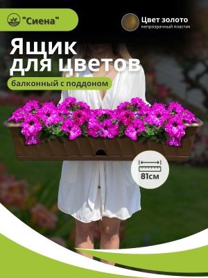 Ящик для растений СИЕНА с поддоном 81см золотой (5шт/уп) - фото в Миди Лтд Изображение товара Ящик для растений СИЕНА с поддоном 81см золотой (5шт/уп) в Миди Лтд