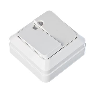 Выключатель двухклавишный , накладной  ХХ - фото в Миди Лтд Изображение товара Выключатель двухклавишный , накладной  ХХ в Миди Лтд