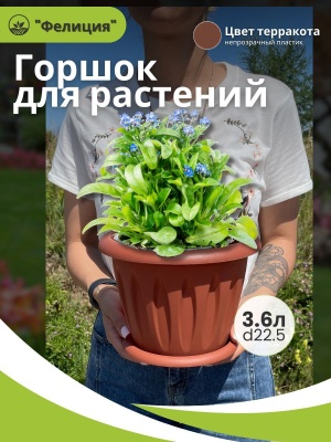 Горшок для растений ФЕЛИЦИЯ с поддоном d225мм 3,6л терракот (10шт/уп) - фото в Миди Лтд Изображение товара Горшок для растений ФЕЛИЦИЯ с поддоном d225мм 3,6л терракот (10шт/уп) в Миди Лтд