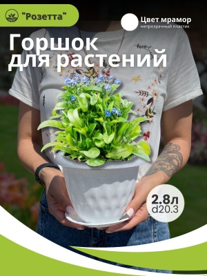 Изображение товара Горшок для растений РОЗЕТТА с поддоном d200мм 2,8л мрамор (14шт/уп) в Миди Лтд
