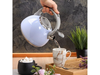 Изображение товара Чайник нерж сталь 2,5л (M-083B) со свистком ручка бакелитовая с силиконовым покрытием индукция Х в Миди Лтд