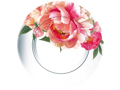 Тарелка мелкая Корнелия 195мм (12шт/уп) - фото в Миди Лтд Изображение товара Тарелка мелкая Корнелия 195мм (12шт/уп) в Миди Лтд