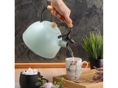 Изображение товара Чайник нерж сталь 2,5л (MSY-078) со свистком ручка металл деревоиндукция матовый Daniks ментоловый  в Миди Лтд