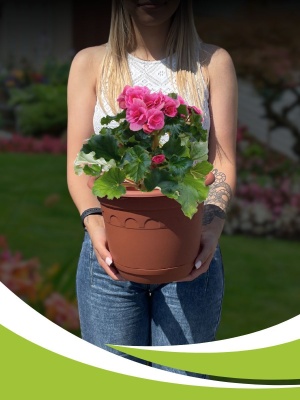 Горшок КОЛЫВАНЬ с поддоном d26см 6,7л терракот (12шт/уп) - фото в Миди Лтд Изображение товара Горшок КОЛЫВАНЬ с поддоном d26см 6,7л терракот (12шт/уп) в Миди Лтд