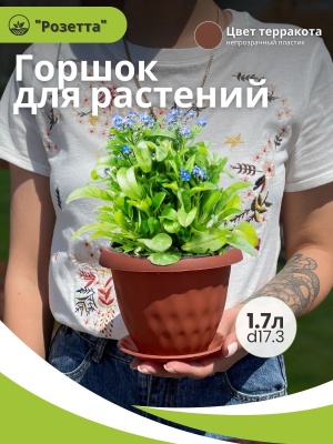 Изображение товара Горшок для растений РОЗЕТТА с поддоном d170мм 1.7л терракот (12шт/уп) в Миди Лтд