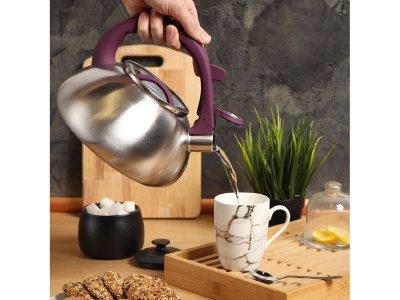 Изображение товара Чайник нерж сталь 3л (DSC-8802) со свистком ручка с силиконовым покрытием индукция матовый Daniks  в Миди Лтд