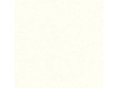 Изображение товара ЛДСП Kronospan  2500*1830*16мм  Белый Фасадный  0101 PR (38шт/пал) в Миди Лтд