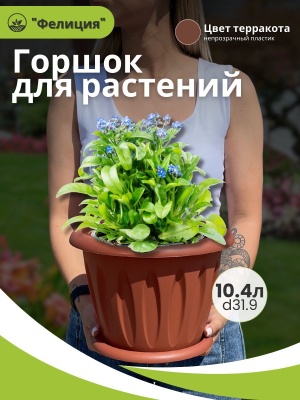 Горшок для растений ФЕЛИЦИЯ с поддоном d320мм 10,4л терракот (8шт/уп) - фото в Миди Лтд Изображение товара Горшок для растений ФЕЛИЦИЯ с поддоном d320мм 10,4л терракот (8шт/уп) в Миди Лтд