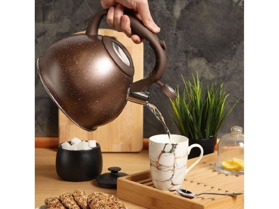 Изображение товара Чайник нерж сталь 3л (MSY-A058) со свистком ручка с силиконовым покрытием индукция матовый Daniks  в Миди Лтд