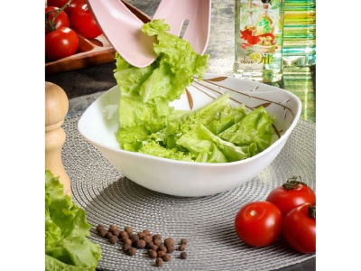 Салатник стеклокерамика квадратный 23см 1,2л Daniks Орфей (3шт/уп) Х - фото в Миди Лтд Изображение товара Салатник стеклокерамика квадратный 23см 1,2л Daniks Орфей (3шт/уп) Х в Миди Лтд