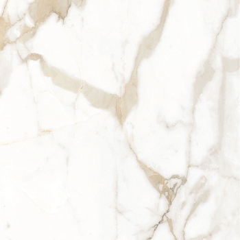 Изображение товара Керамогранит Calacatta Superb белый 60*60 полированный (0,36м2/шт, 1,44м2/уп, 4шт/уп) в Миди Лтд