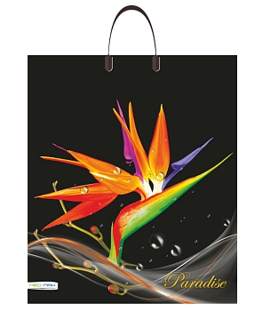 Изображение товара Пакет с пласт ручкой ФОТОПЕЧАТЬ 38*44см 90мк Парадиз (5шт/уп) в Миди Лтд